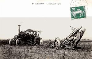 1069- Boufarik - Labourages a vapeur - 1910